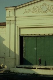 The Chameleon 1991 one on netflix