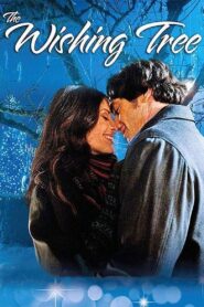 The Wishing Tree 2012 one on netflix