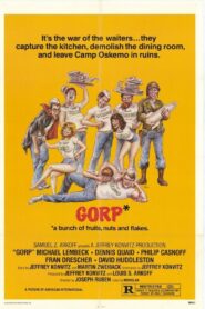 Gorp 1980 one on netflix