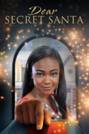 Dear Secret Santa 2013 one on netflix