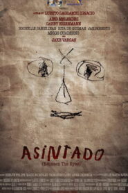 Asintado 2014 one on netflix