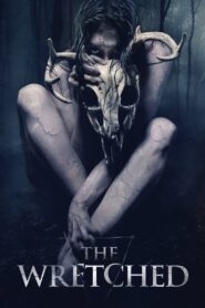 The Wretched 2019 one on netflix