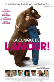 Sex, Lies and Surgery 2012 one on netflix