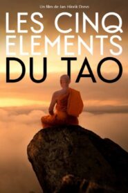 Balance of the Five Elements 2021 one on netflix