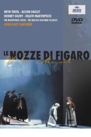 The Marriage of Figaro 1993 one on netflix