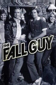 The Fall Guy 1981 one on netflix