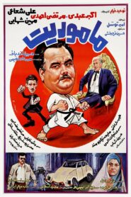The Assignment 1987 one on netflix