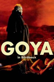 Goya in Bordeaux 1999 one on netflix