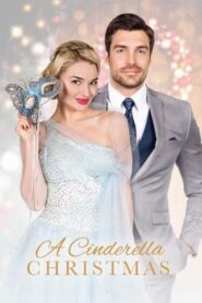 A Cinderella Christmas 2016 one on netflix