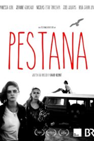 Pestana 2017 one on netflix