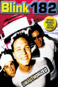 Blink-182 and the LA Punk Scene 2000 one on netflix