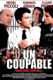 Un coupable 1988 one on netflix