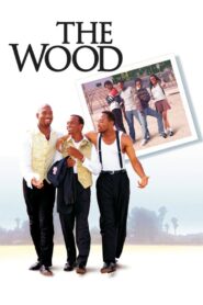 The Wood 1999 one on netflix