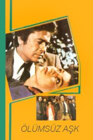 Ölümsüz Aşk 1986 one on netflix