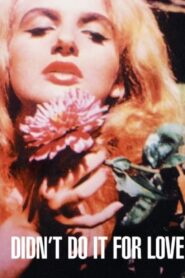 Didn’t Do It For Love 1998 one on netflix