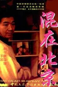 The Strangers in Beijing 1995 one on netflix