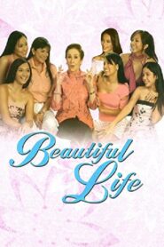 Beautiful Life 2004 one on netflix