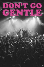 Don’t Go Gentle: A Film About IDLES 2020 one on netflix