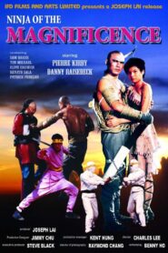 Ninja of the Magnificence 1988 one on netflix