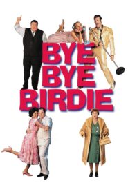 Bye Bye Birdie 1995 one on netflix