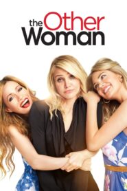 The Other Woman 2014 one on netflix