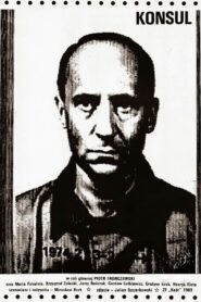 Konsul 1989 one on netflix
