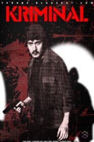 Kriminal 1984 one on netflix