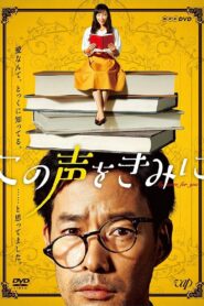 My Voice for You 2017 one on netflix