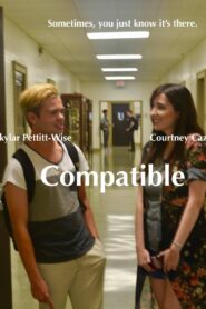 Compatible 2018 one on netflix