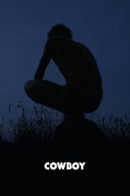 Cowboy 2008 one on netflix