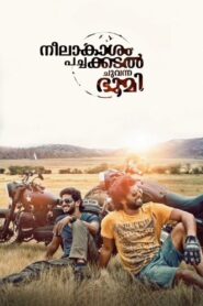 Neelakasham Pachakadal Chuvanna Bhoomi 2013 one on netflix
