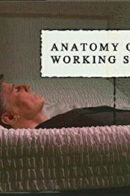 Anatomy of a Working Stiff 2004 one on netflix