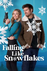 Falling Like Snowflakes 2024 one on netflix