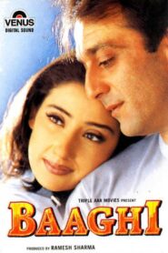 Baaghi 2000 one on netflix