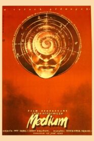 Medium 1985 one on netflix