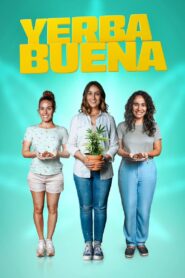 Yerba Buena 2020 one on netflix