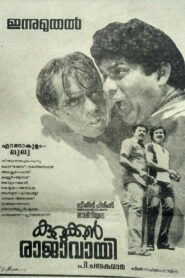 Kurukkan Rajavayi 1987 one on netflix