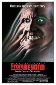 From Beyond 1986 one on netflix