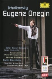 Eugene Onegin 2007 one on netflix