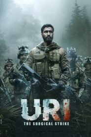 Uri: The Surgical Strike 2019 one on netflix