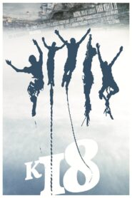 Almost 18 2012 one on netflix
