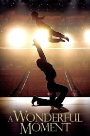 A Wonderful Moment 2013 one on netflix