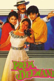 Prem Deewane 1992 one on netflix