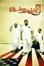 Peruchazhi 2014 one on netflix