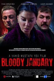 Black January 2015 one on netflix