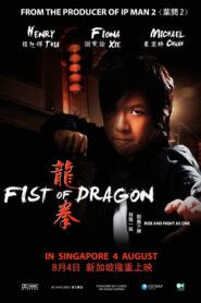 Fist of Dragon 2011 one on netflix