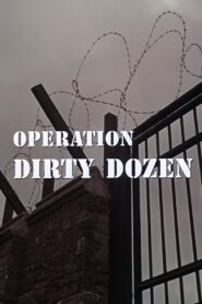 Operation Dirty Dozen 2006 one on netflix