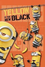 Yellow Is the New Black 2018 one on netflix