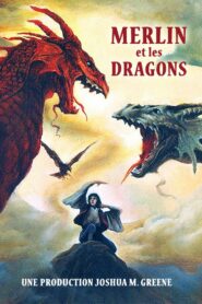 Merlin and the Dragons 1991 one on netflix
