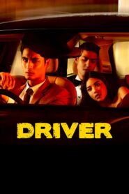 Driver 2017 one on netflix